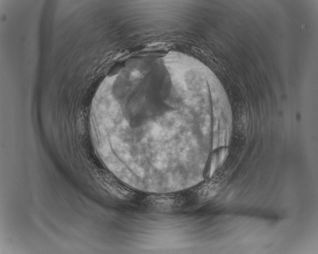 X0000067840658200605111644