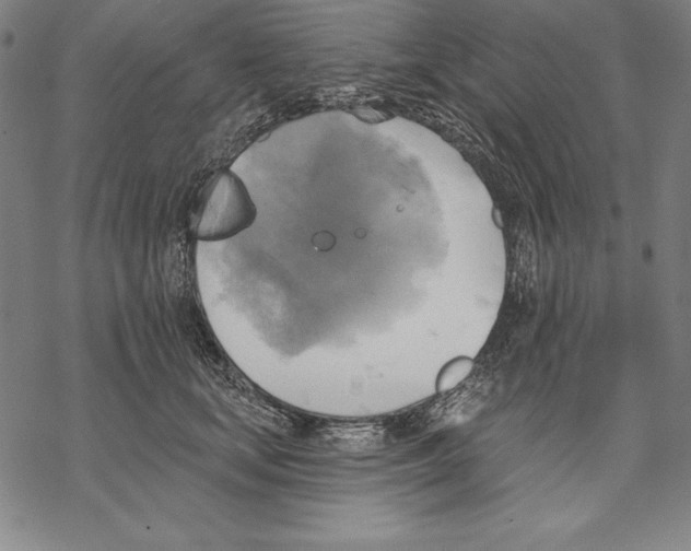 X0000067840659200605111644