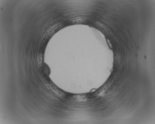 X0000067840660200605111644