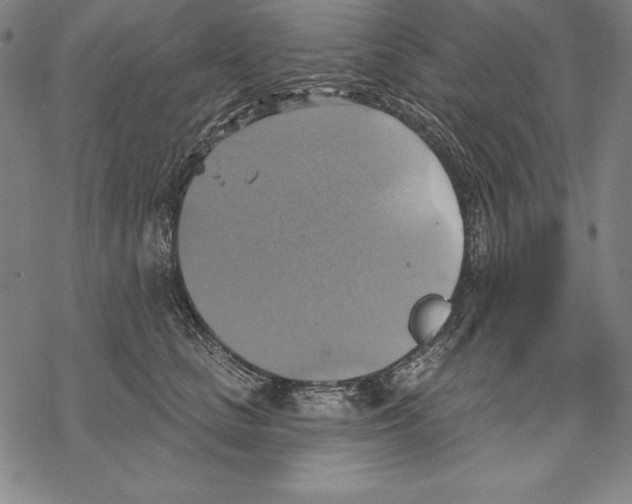 X0000067840661200605111644