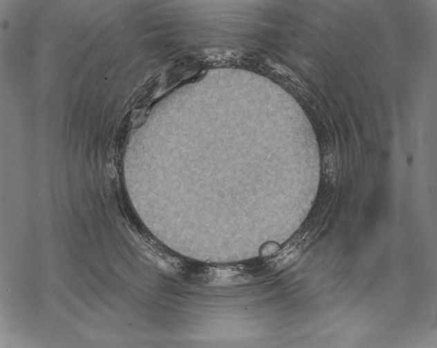 X0000067840662200605111644