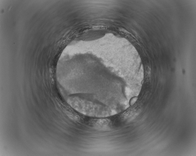 X0000067840663200605111644