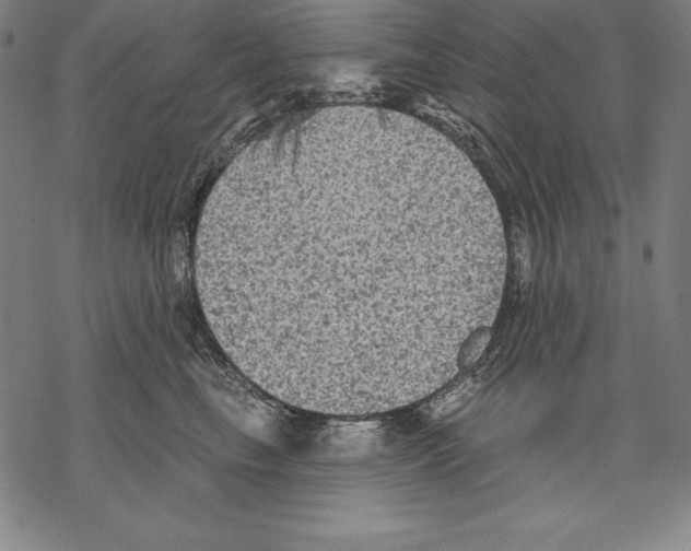 X0000067840665200605111644