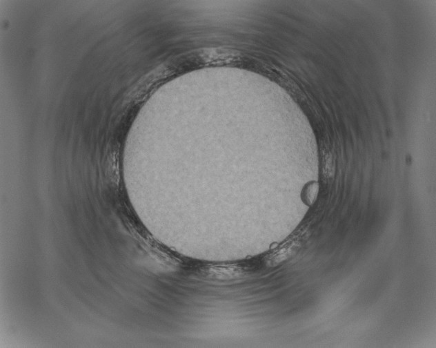 X0000067840666200605111644