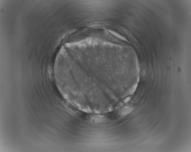 X0000067840669200605111644