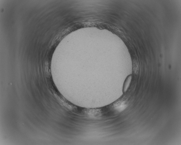 X0000067840670200605111644