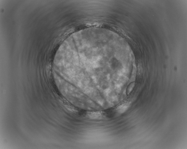 X0000067840671200605111644