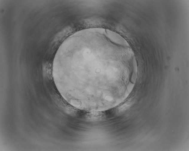 X0000067840672200605111644