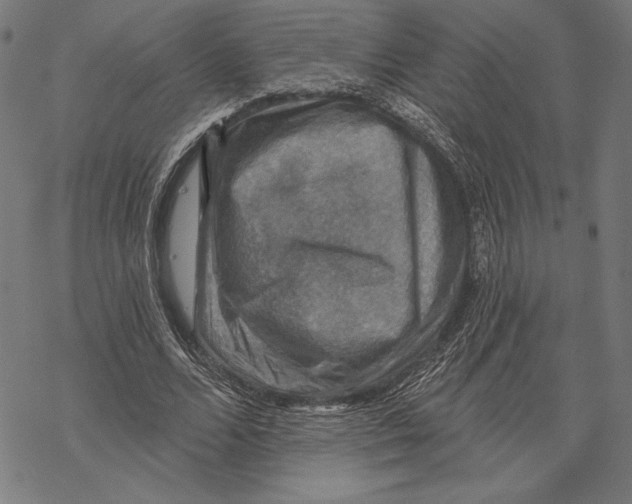 X0000067840680200605111643