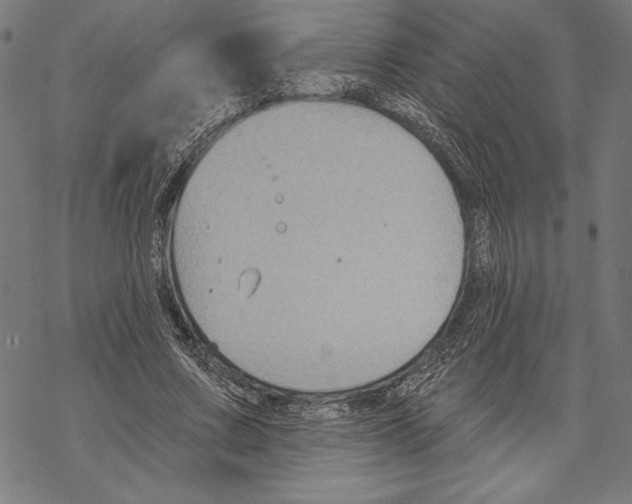 X0000067840683200605111643