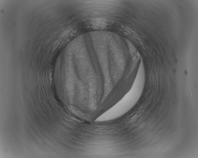 X0000067840697200605111643