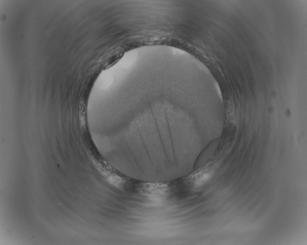 X0000067840719200605111642