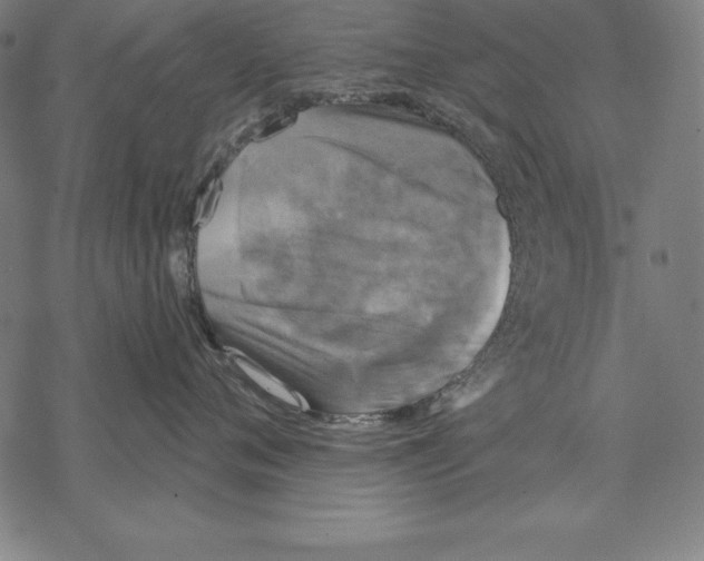 X0000067840720200605111642