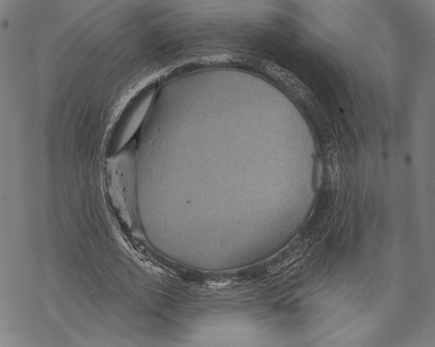 X0000067840728200605111642