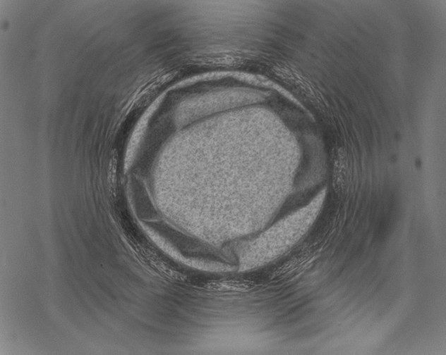 X0000067840739200605111642