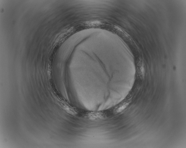 X0000067840762200605111642