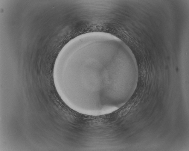 X0000067840769200605111641