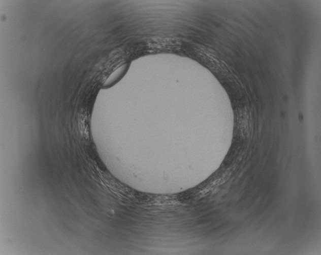 X0000067840770200605111641