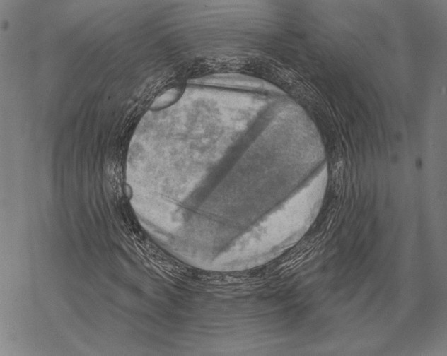 X0000067840772200605111641