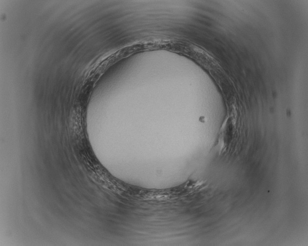 X0000067840773200605111641