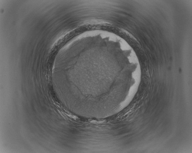 X0000067840775200605111641