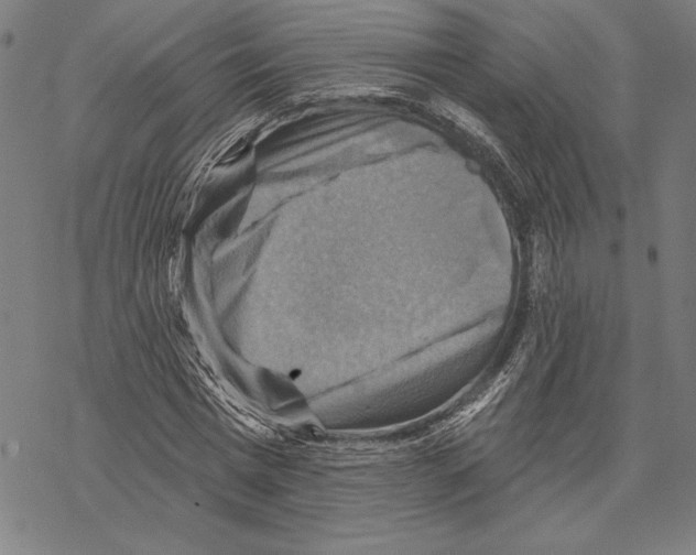 X0000067840777200605111641