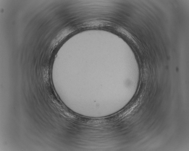 X0000067840778200605111641