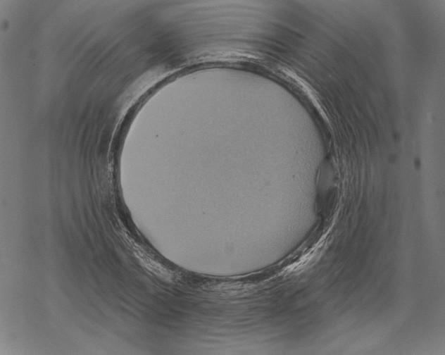 X0000067840779200605111641