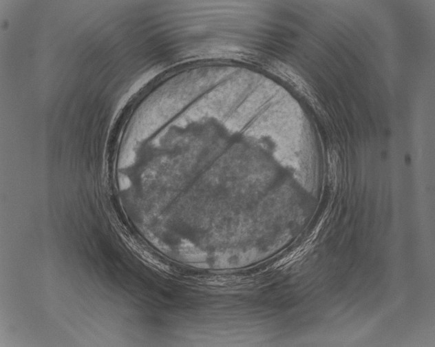 X0000067840780200605111641