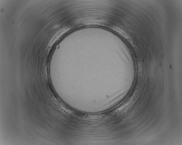 X0000067840782200605111641