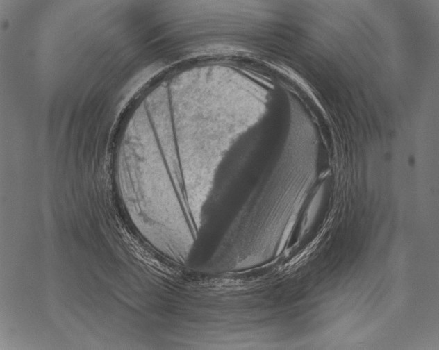 X0000067840783200605111641