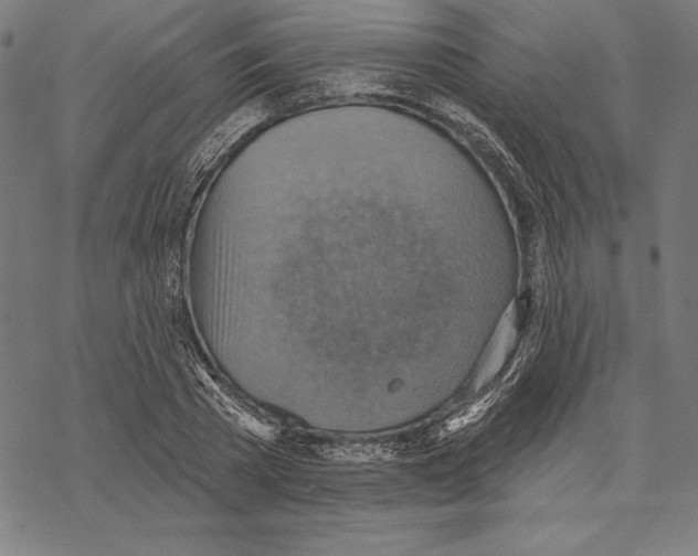 X0000067840785200605111641