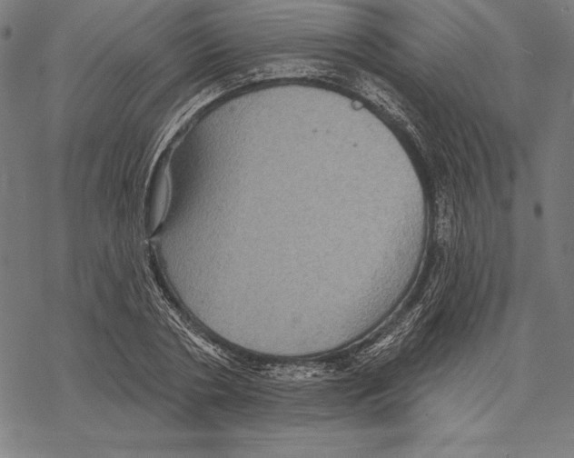 X0000067840786200605111641