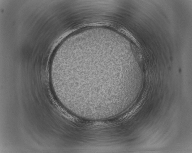 X0000067840787200605111641