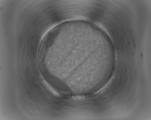 X0000067840789200605111641