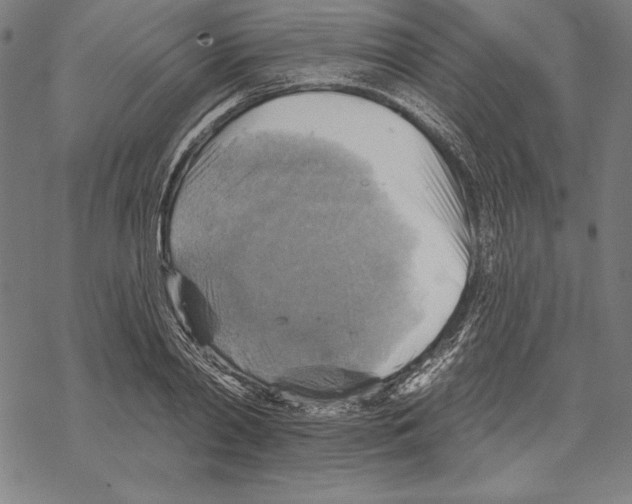 X0000067840790200605111641