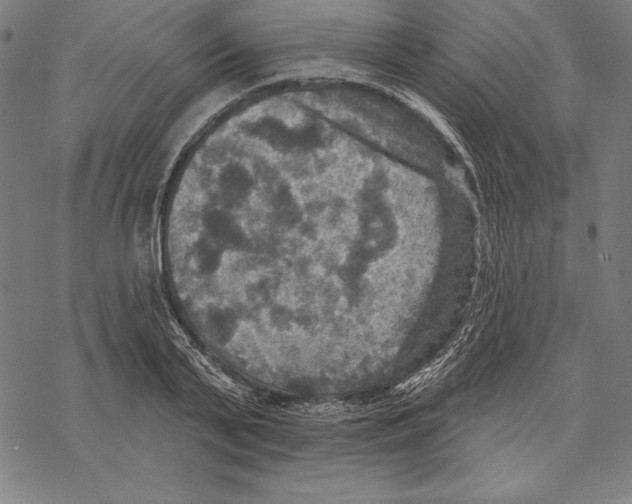 X0000067840791200605111641