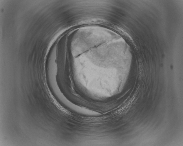 X0000067840792200605111641