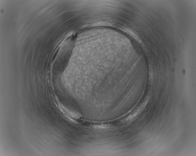 X0000067840793200605111641