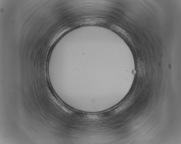 X0000067840794200605111641