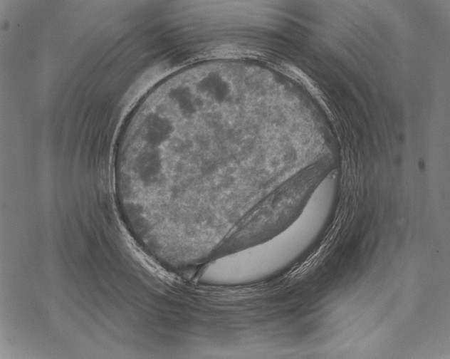 X0000067840795200605111641