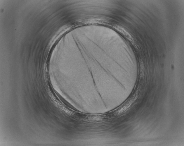 X0000067840798200605111641