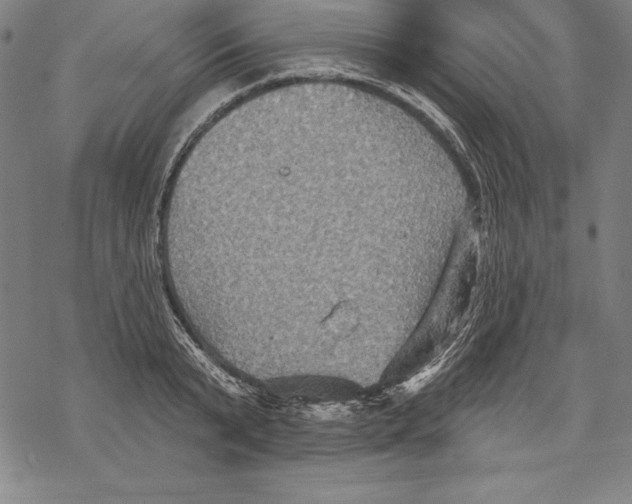 X0000067840799200605111641