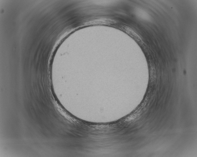 X0000067840800200605111641