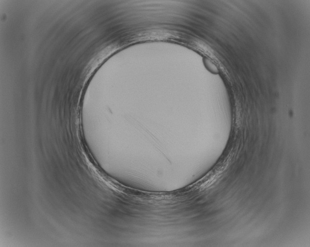 X0000067840802200605111641