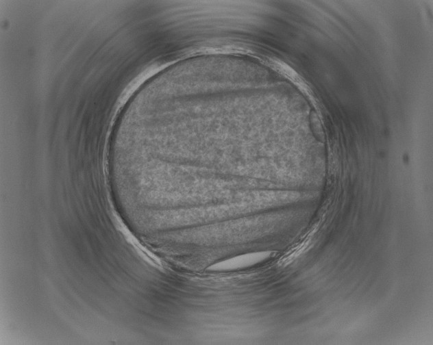 X0000067840803200605111641