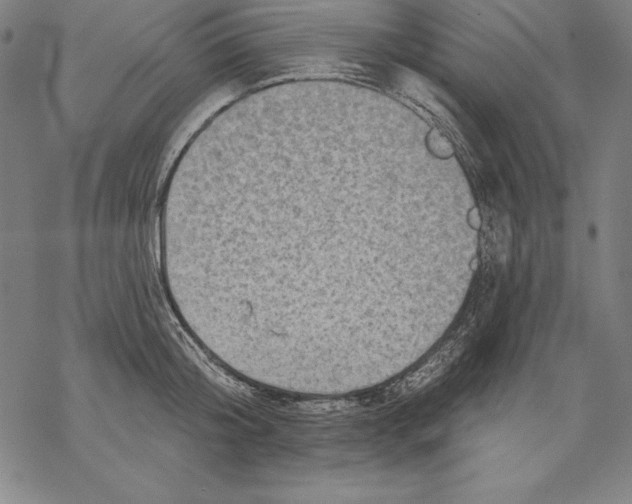 X0000067840804200605111641