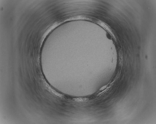 X0000067840805200605111641