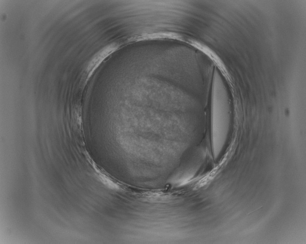 X0000067840809200605111641