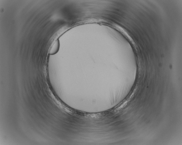 X0000067840810200605111641